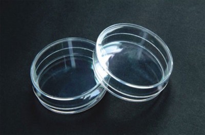 Yash Scientific Industries Dishes